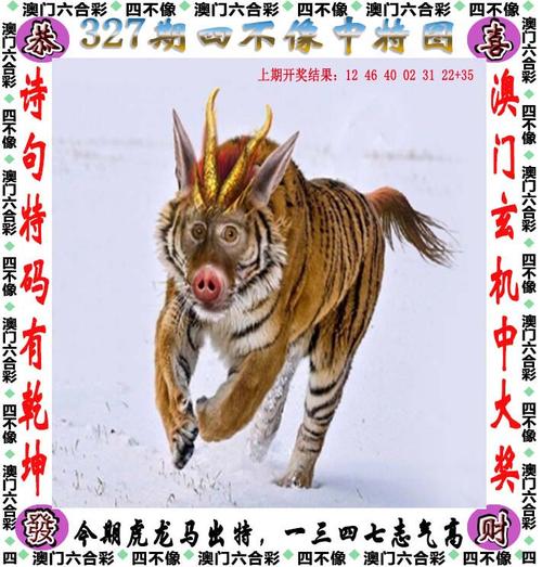 2023澳门今晚开奖特马开奖结果图片与新澳天天开奖资料大全最新54期开奖全面释义、解释与落实与警惕虚假宣传