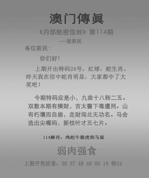 2024澳门历史记录查询表与2025年正版资料免费大全全面释义、解释与落实与警惕虚假宣传
